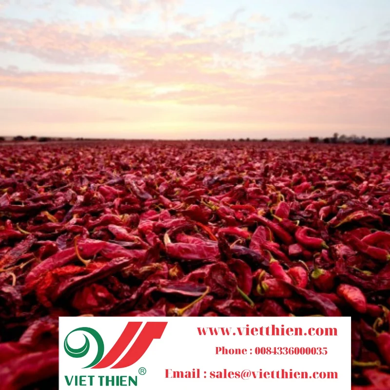 High quality dried chili peppers in Vietnam ensure prestige and safety for users at a reasonable price