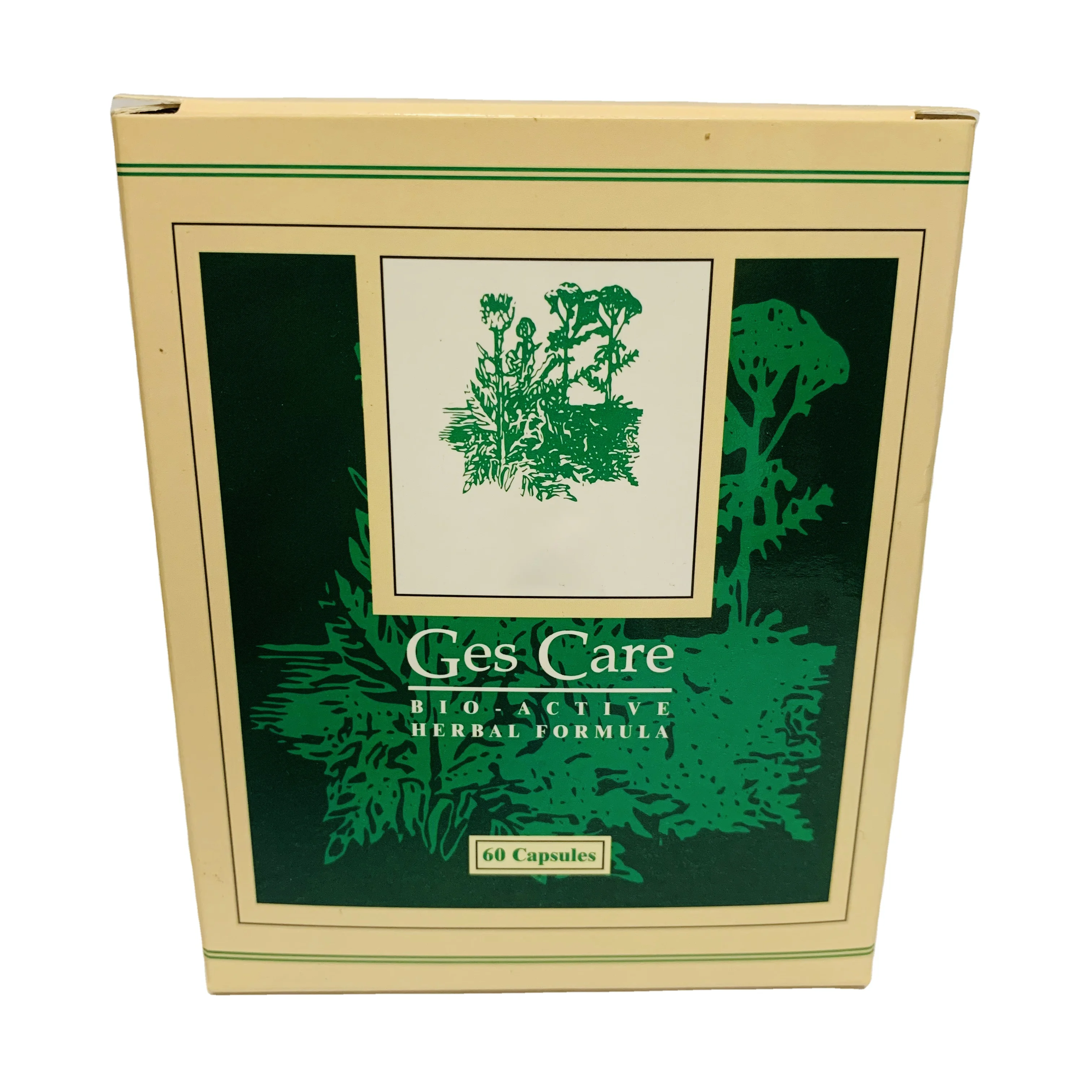 Customized Package and Service Improve Gastrointestinal Relieve Digestive Disorders Gescare Herbal Capsules