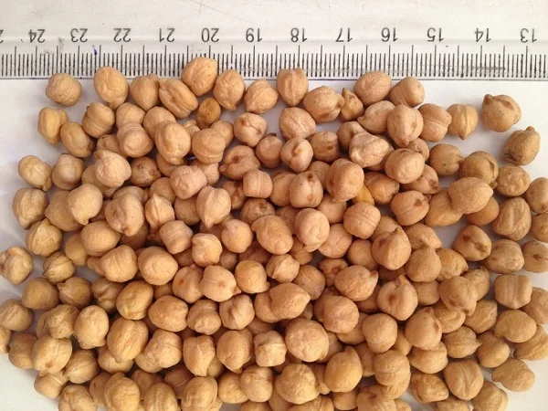 VN1 - BEST PRICE  TOP QUALITY CHICKPEAS HIGH NUTRIOUS PURE NATURAL CHICKPEAS