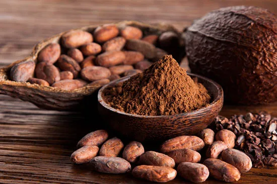 Hot Selling Cheap Price CoCoa Powder 2022 100% Organic High Quality Raw Cocoa Powder From Viet Nam