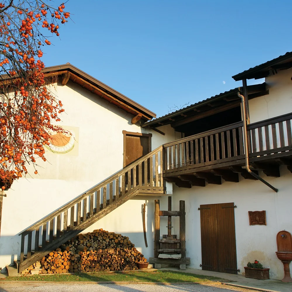 Vigna Petrussa Selection native grape EXPRESSIONS OF SCHIOPPETTINO 4 bottles Italian Red Wine for restaurant wine bar