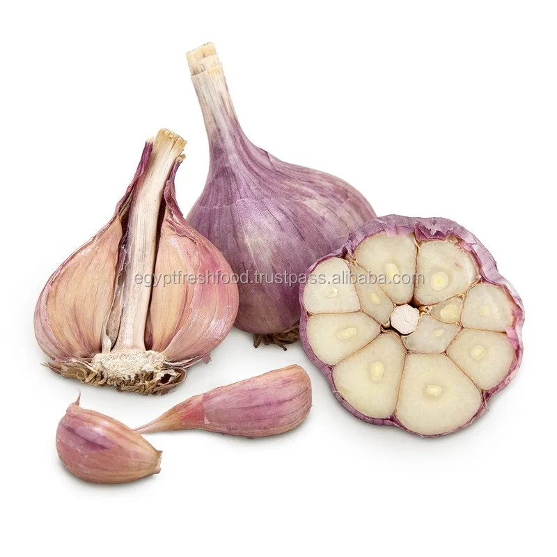 Fresh White Garlic , Purple Garlic for sale ready to export from Egypt season 2020