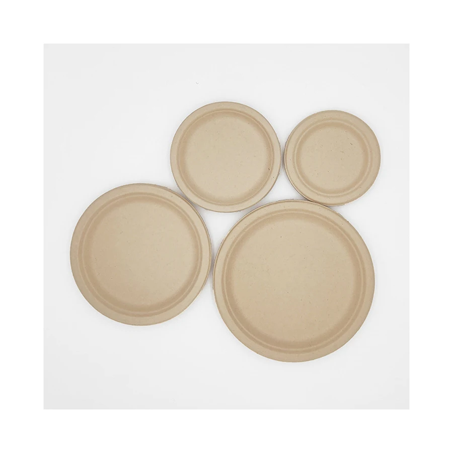 Disposable Plate Manufacturers Best Fancy Customized Option Biodegradable microwavable Disposable Plates