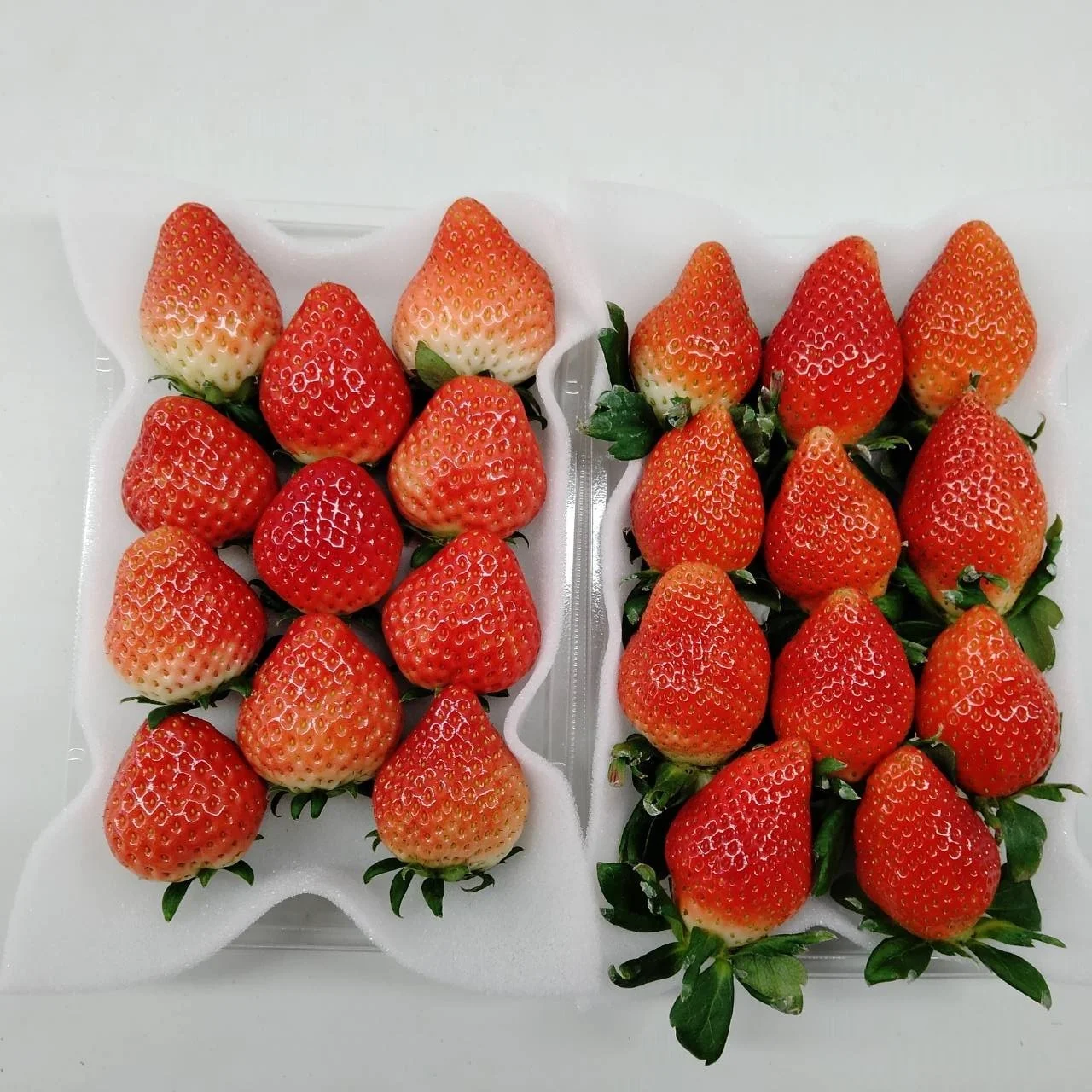 Оптовая продажа японская клубника ICHIKAHIME свежие