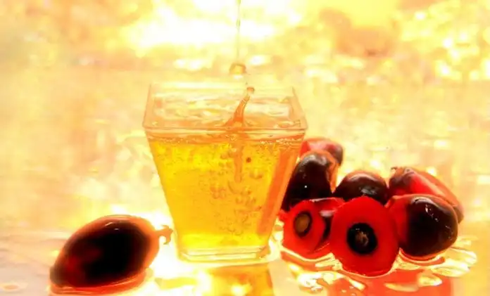 Pure Vegetable Cooking Oil (CP6 - CP8 - CP10) 100% Halal Palm Oil From Malaysia