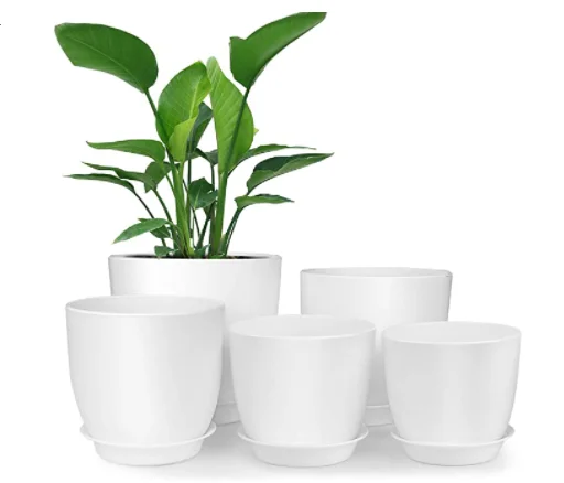 Custom Sizes And Logo Plastic Plant Pot With Drainage Hole Tray Decorative Planters For Flowers Succulents Cactus Plants