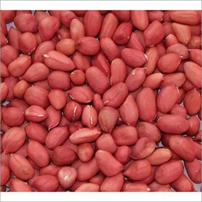 Best Quality Peanuts Good Quality Groundnut in India Wholesale Price Groundnut Supplier