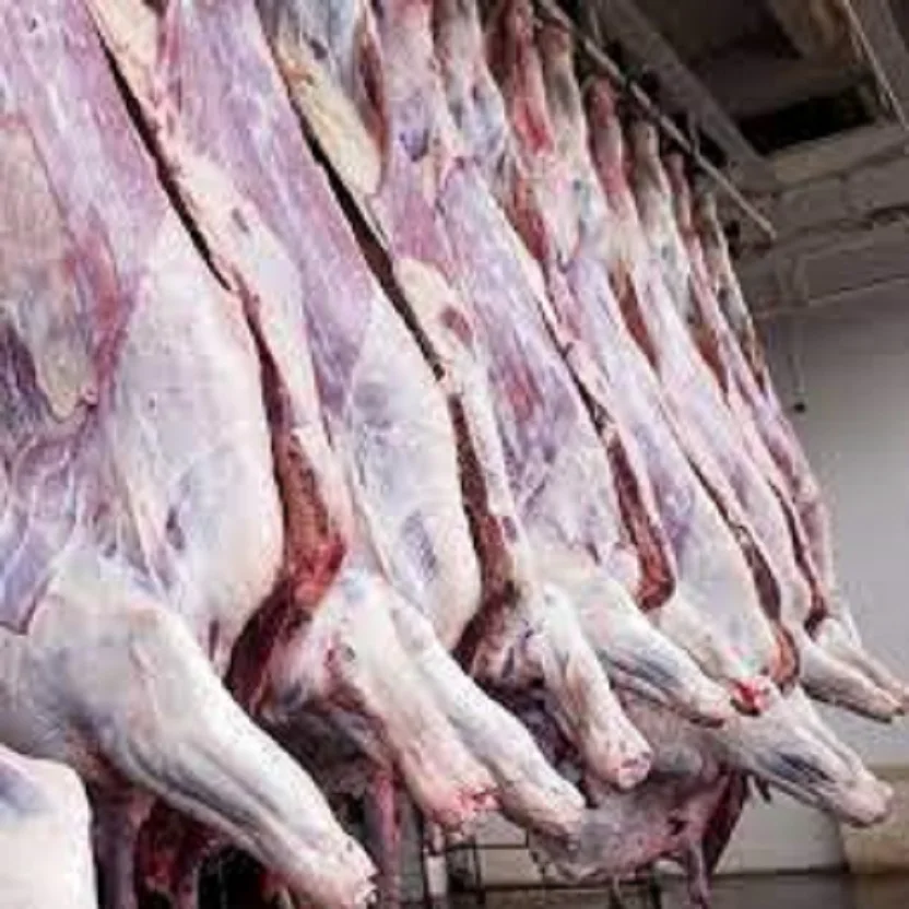 
Quality Fresh and Frozen Donkey Meat 