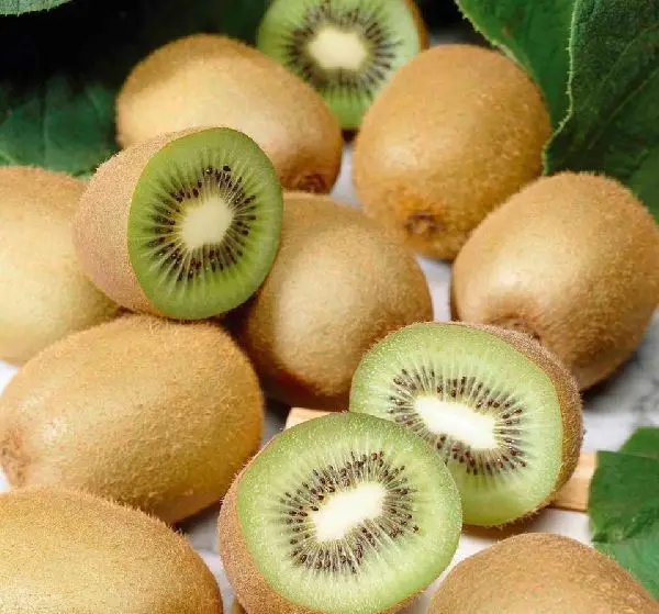Fresh Kiwi Fruit 6.jpeg