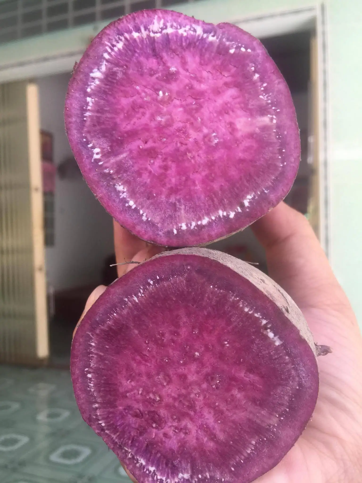 Пурпурный Порошок Сладкого Картофеля с высококачественной пурпурной мукой для сладкого картофеля желтый порошок 0084947900124