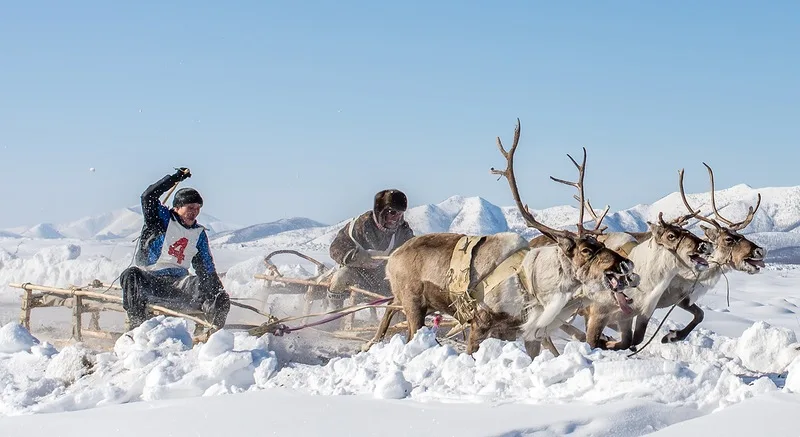 
Russian travel agency Pole of cold expedition business travel services 