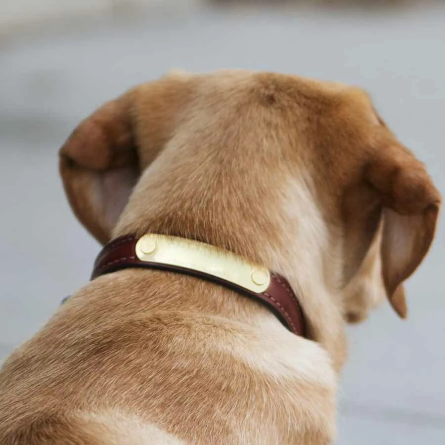 Classic Genuine Leather Dog Collar Soft Padded PU Leather Inner Collar with Engraved Brass Nameplate