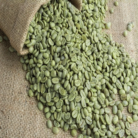 
Raw Arabica coffee beans 