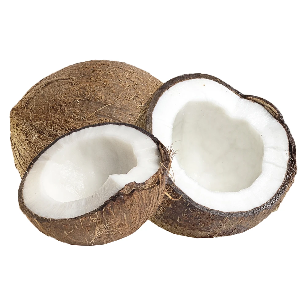 Wholesale Best Supplier 100% Natural Organic Low Sugar Content 250ml canned Packaging Fresh Coconut Water from Sri Lanka