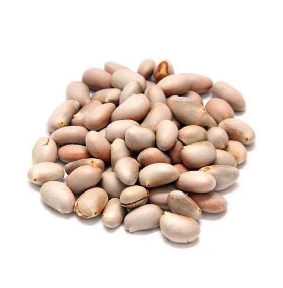 Cheap Price Wholesale Dried Jackfruit Seed For Sale In bulk