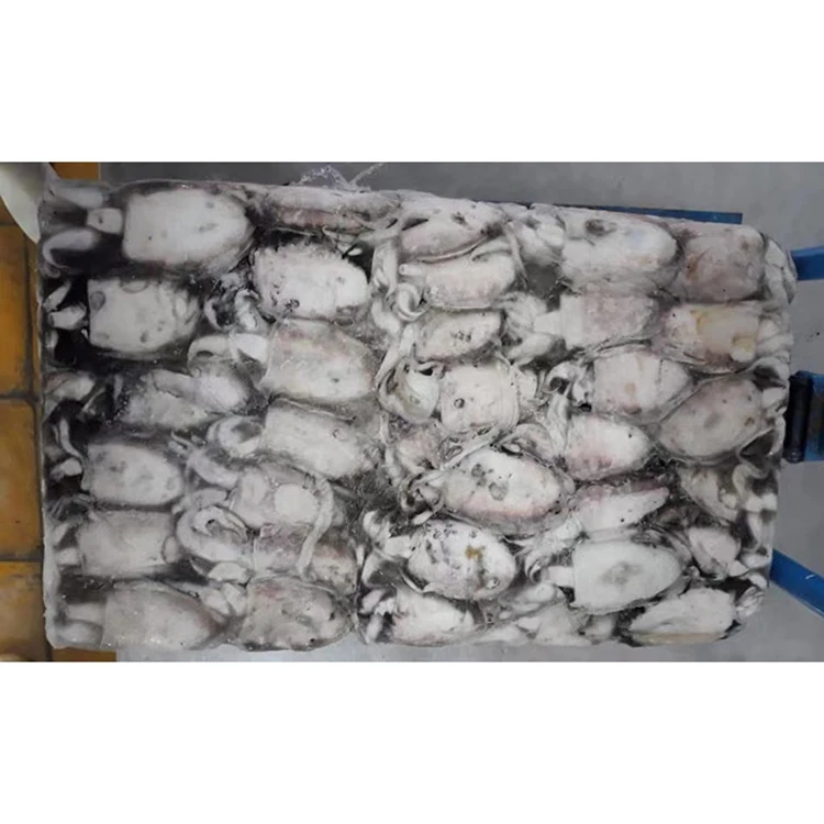 
Best Seller Export Nutritious Frozen Frozen Cuttlefish 