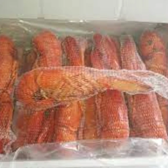  Замороженный Хвост лобстера/свежая живая холодная вода свежий живой Лобстер Раков готов для экспорта на продажу азот замороженный Омар