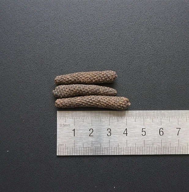 
China Spices&seherbs raw material supplier wholesales pippali spice indian long pepper pippali herb with high quality& low price 