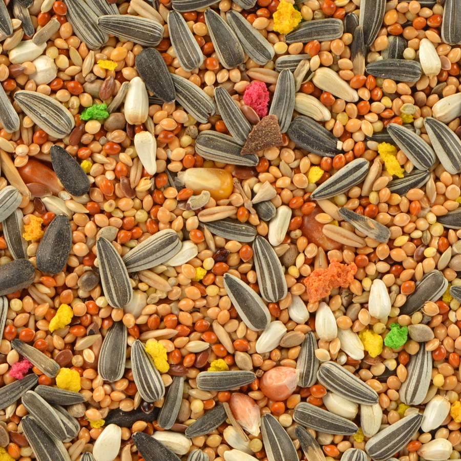 Goldwings Classic Millet Spray - 6 pcs