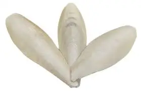 Поставка корма для птиц/слепка/порошок костей слепки/низкая цена из Вьетнама сделано в VN/ Ms Деми + 84 961 733 400