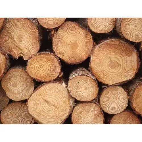 Fresh Grade Round Pine Logs