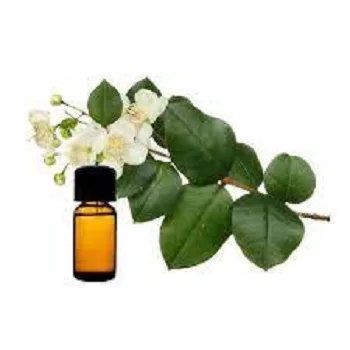 Exporter Myrtle Oil Soothing Open Back Massage