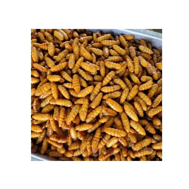 Organic Frozen Insect Frozen Silkworms Worms Food Best Quality from Thailand for 100% Export Ready to Ship