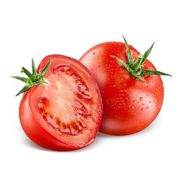 Fresh Red Tomato / Fresh Tomato from India / Fresh Green Tomatoes