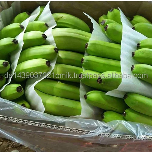 Cavendish Banana (3).png