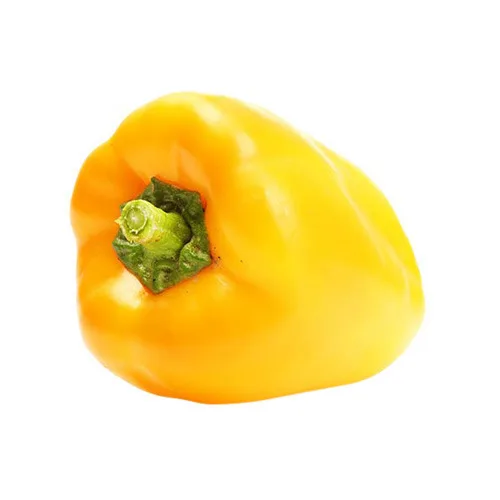 Wholesale Capsicum / Fresh Capsicum Vegetable / Fresh Bell Pepper