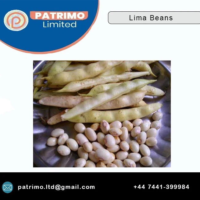 
Premium Bulk selling supplier Lima Beans at Wholesale Price 
