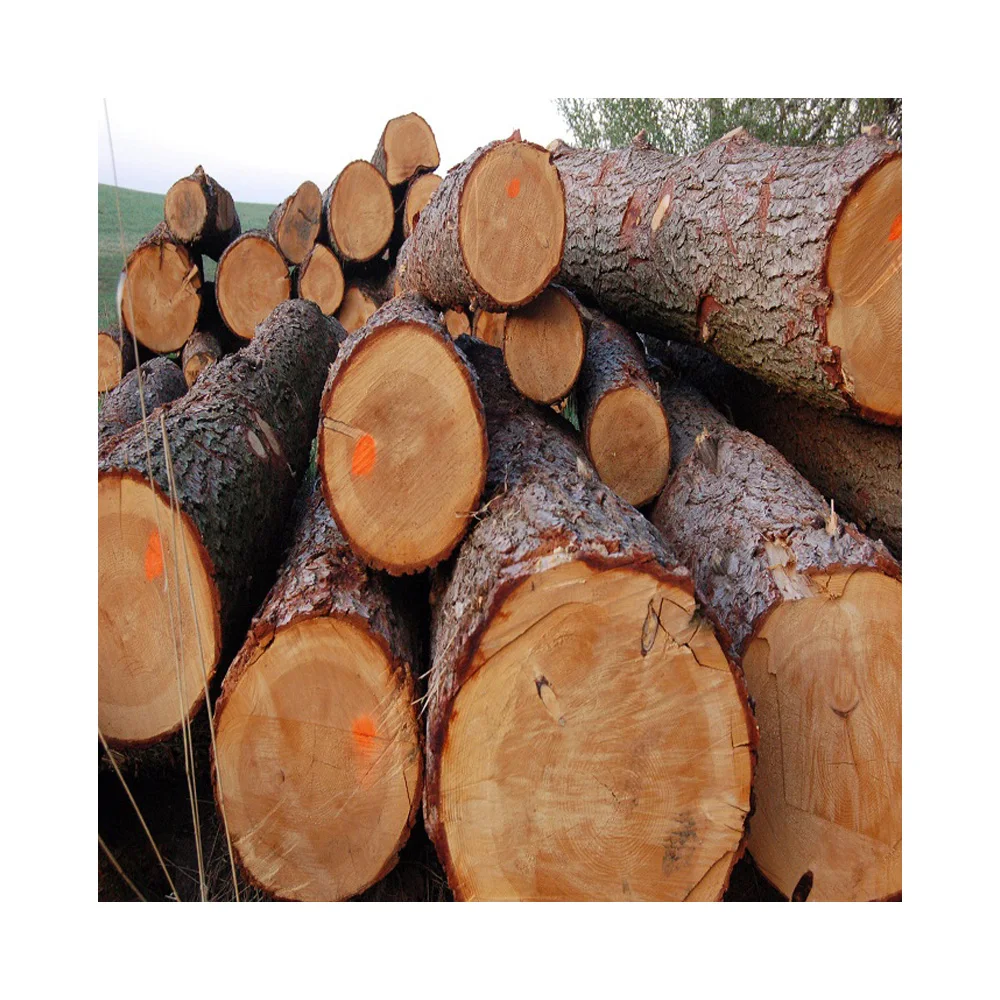 Деревянная древесина сырье всех видов деревянного оборудования высокое качество Лидер продаж