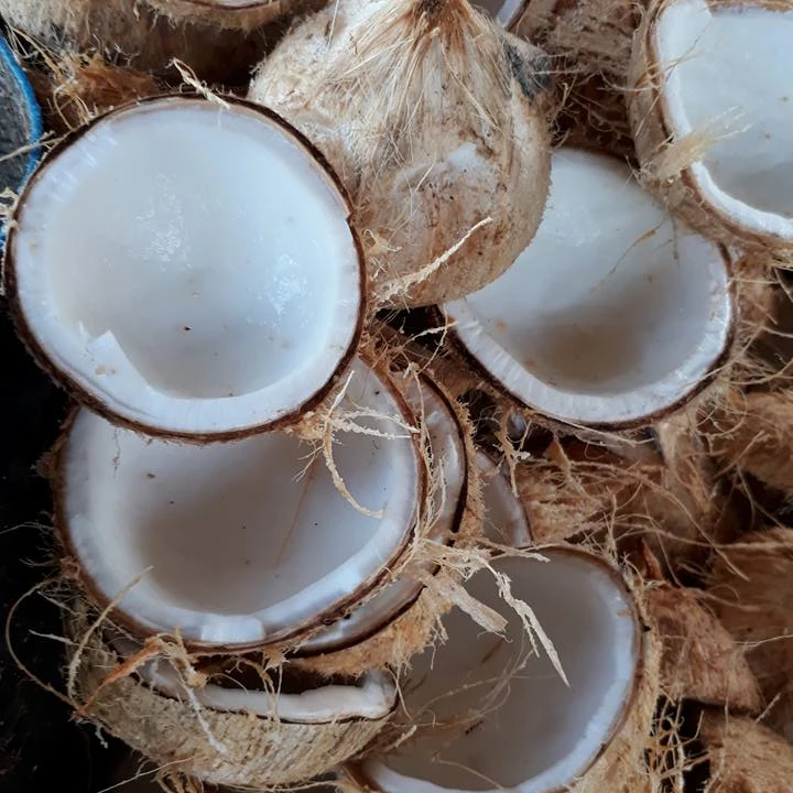 Вьетнам замороженное тертое кокосовое мясо замороженный кокосовый орех по лучшей цене