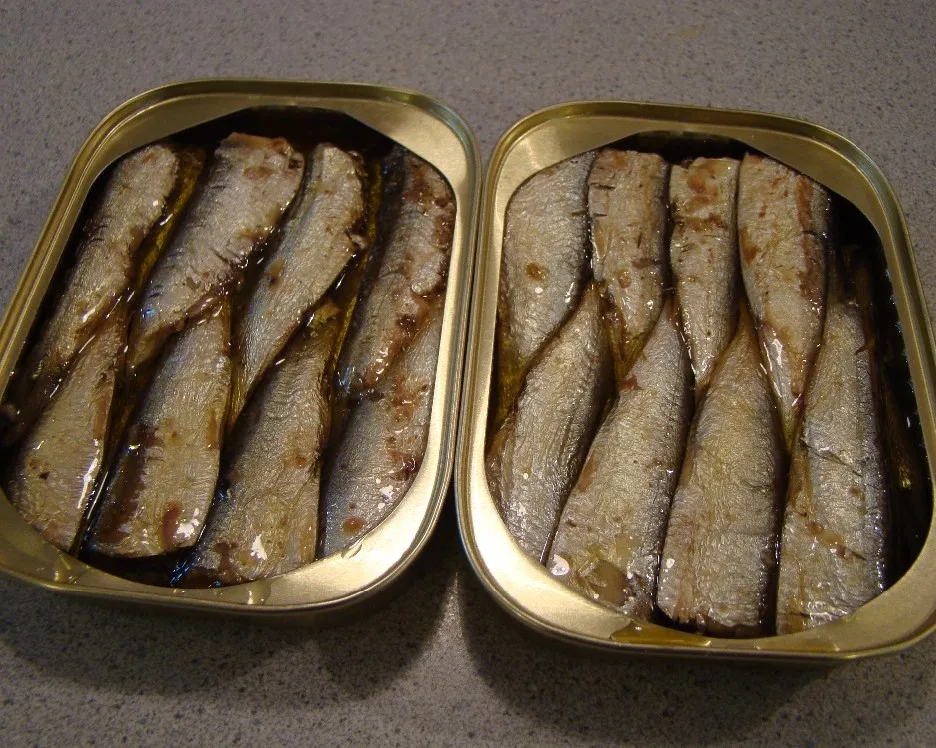 Morocco Canned Sardine