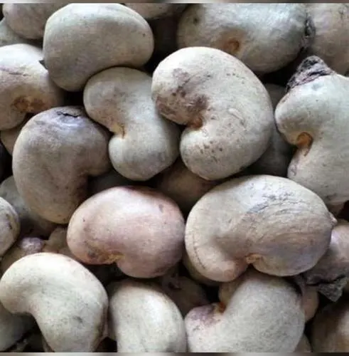BEAUTIFUL RAW CASHEW NUTS