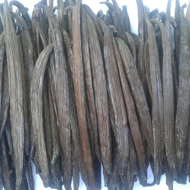 RENDAH TAHITENSIS GRADE-1 14-15 CM VANILLA BEANS Premium Quality Indonesian Hot Selling Vanilla Pods with Reasonable Best Price