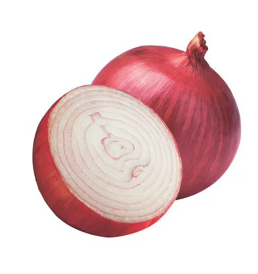 
Fresh Onion Red onion / Gold onion , High quality best price 