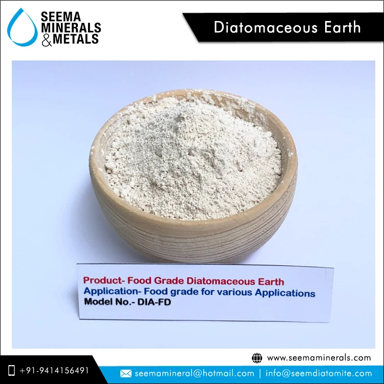 Low Market Price Best Selling 100% Natural Food Grade Diatomaceous Earth Powder from Indian Manufacturer