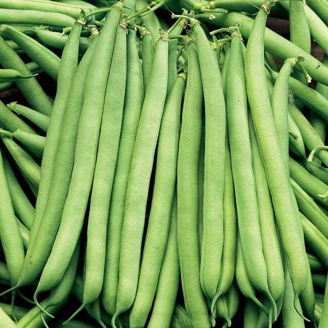 Fresh Super Delicious Taste Premium Quality Runner Bean - Whole Fruit Export