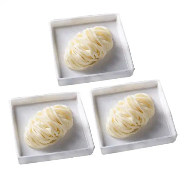 Japanese Udon Noodle