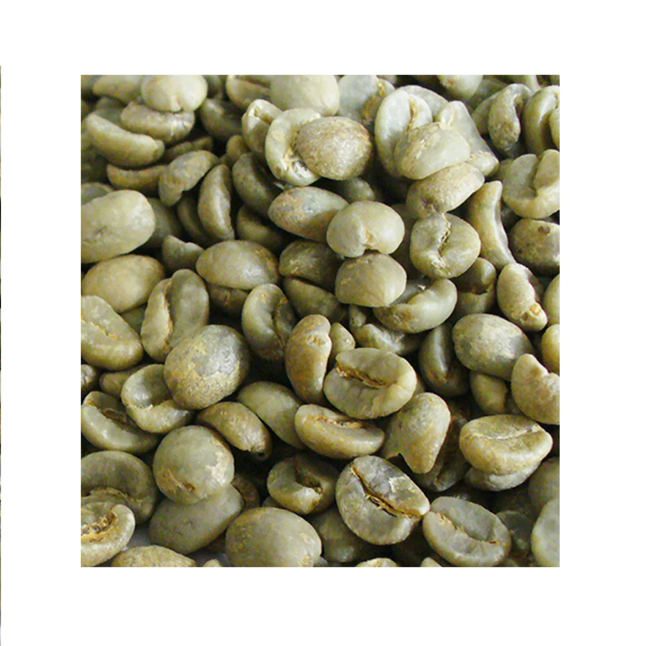 Размер top arabica кофейные зерна robusta зеленый напиток кофе капельный