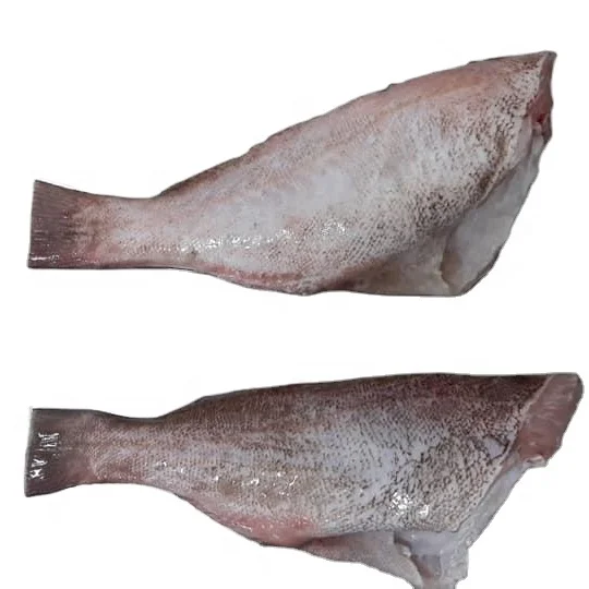 FROZEN GROUPER FISH HEADED GUTTED SCALED