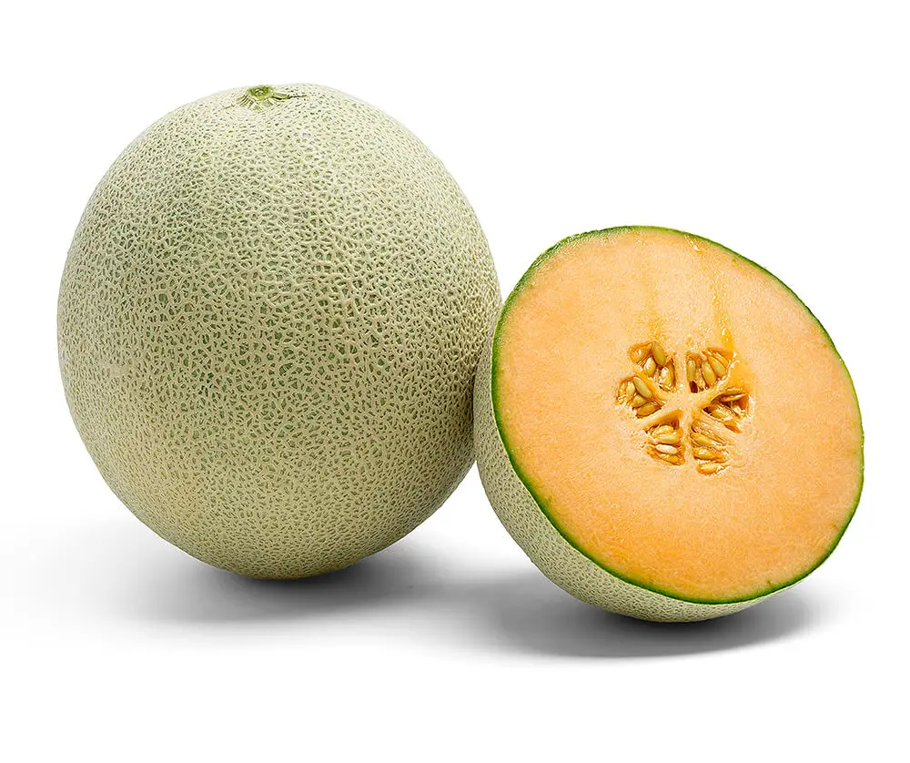 Sweet Taste Cantaloupe melon fruit - Cantaloupe seed  with best price  from GC Food Company