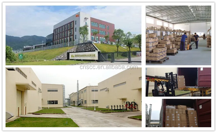 Qingyuan Strong Coatings Technology Co., Ltd. (SCC) Auto Refinish UNIC brand car paint High Solids Clearcoat