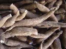 
Whole Peeled Tapioca Cassava Root MS LANI +84969331308 