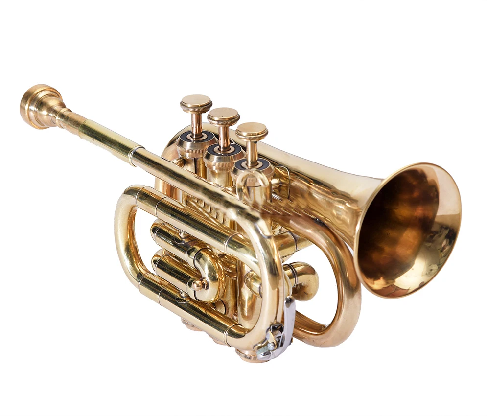 NASIR ALI NEW PROFESSIONAL BEAUTIFUL BB PITCH BRASS POCKET TRUMPET PREMIUM QUALITY WITH INCLUDE HARDCASE AND MOUTHPIECE