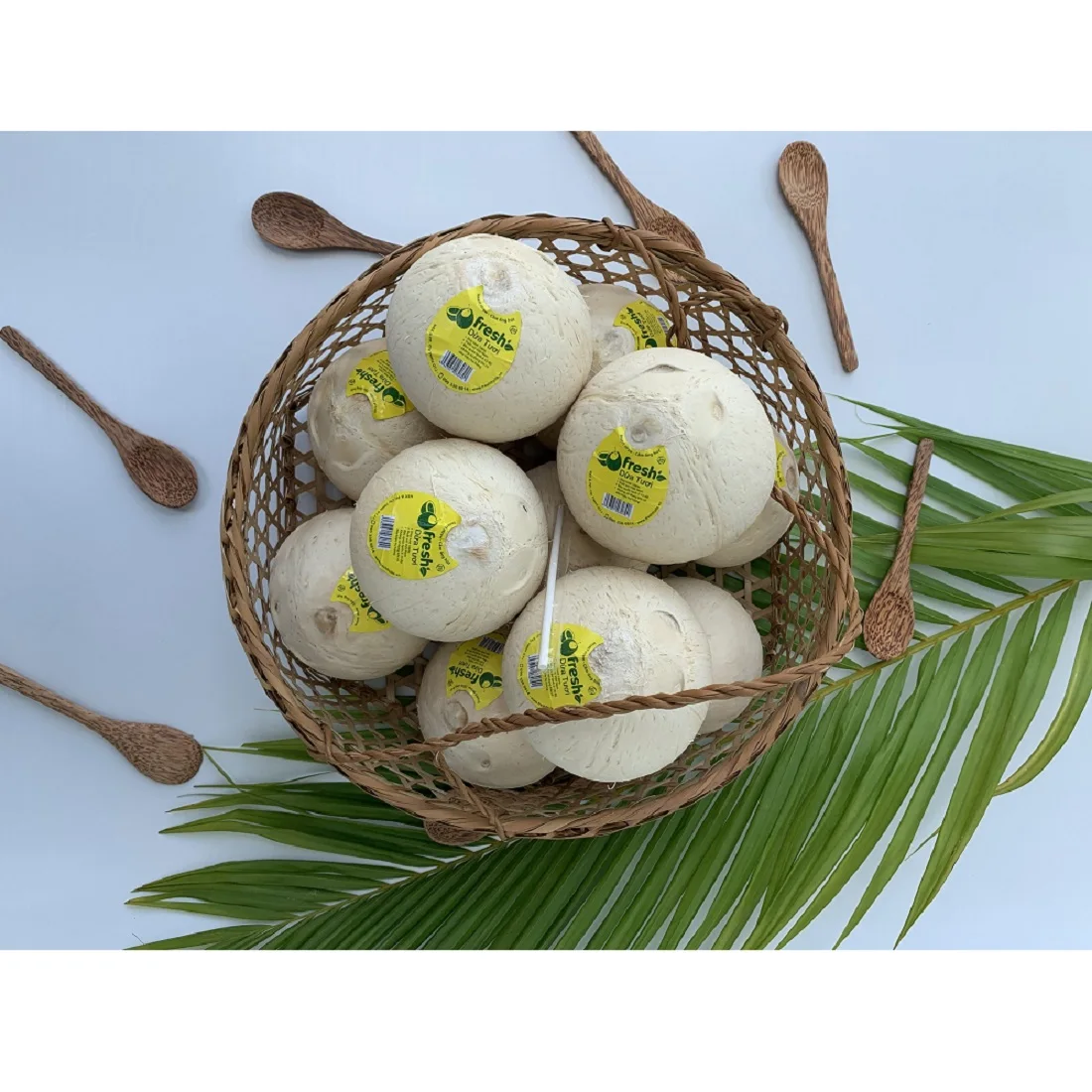 
Top Selling Bulk Natural Whole Fresh Convenient Coconut With 4 Weeks Shelf Life From Vietnam 