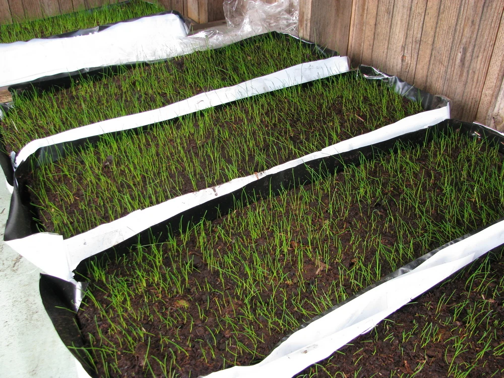 
Pressed peat moss slabs for landscaping 