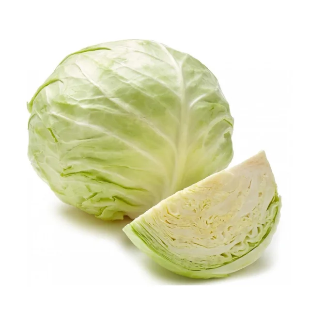 Fresh Cabbage Natural High Quality New Crop