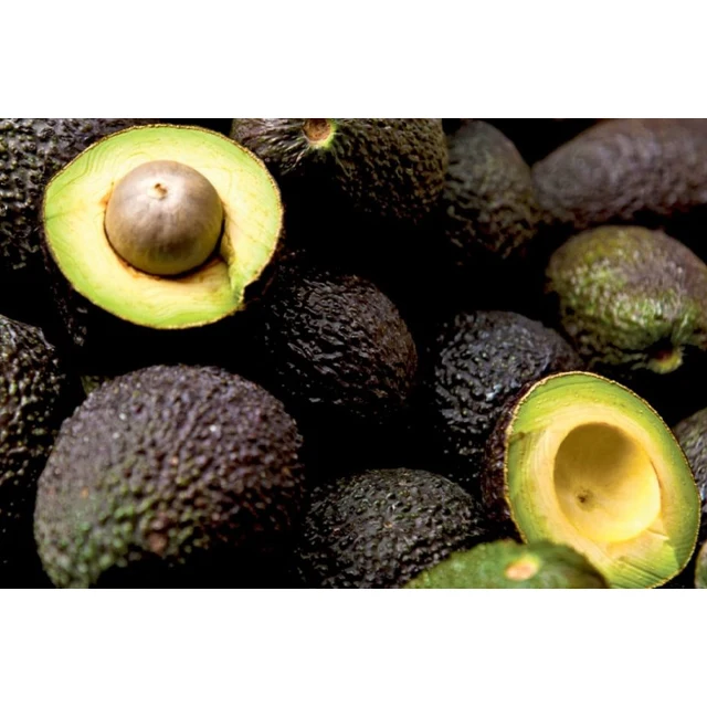 Fresh Super Delicious Taste Premium Quality Hass Avocado - Whole Fruit Export